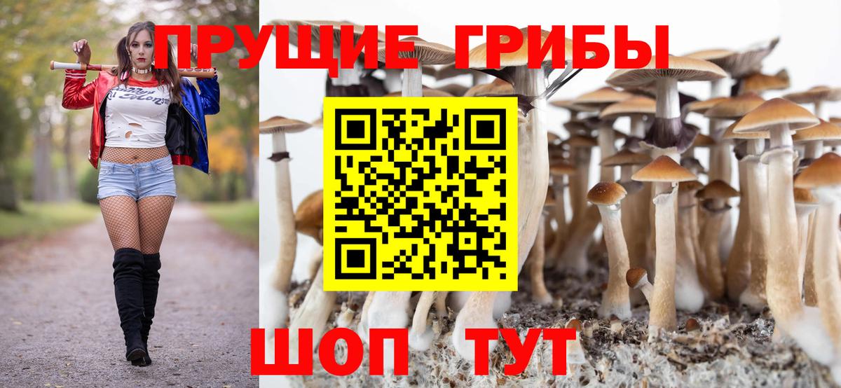 Галлюциногенные грибы MAGIC MUSHROOMS Долгопрудный